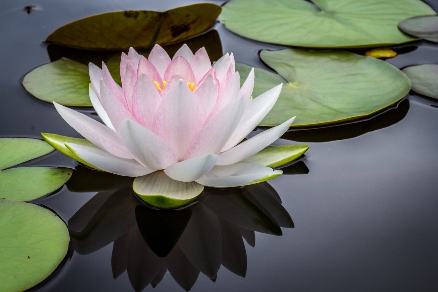 Top Holistic Practices for Everyday Balance